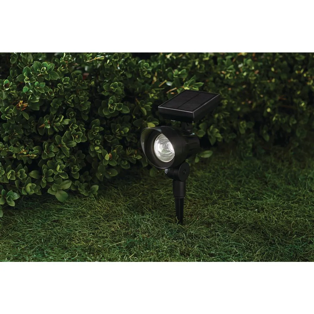 45 Lumens Solar Black Outdoor LED Landscape Spotlight
