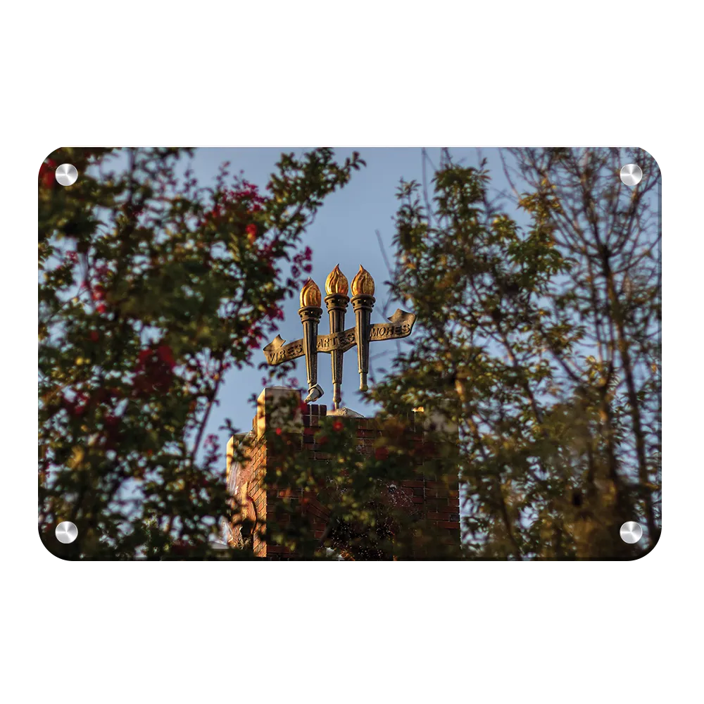 Florida State Seminoles - Framed Torches Close-up