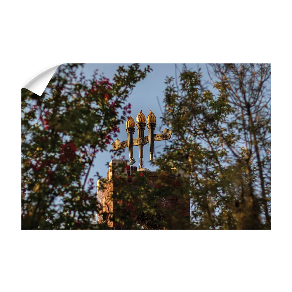 Florida State Seminoles - Framed Torches Close-up