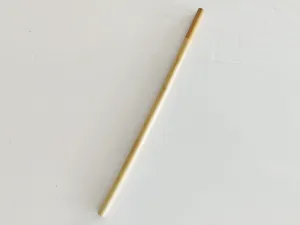 Swallow Conservation Eco-straw by Rikuno Wa