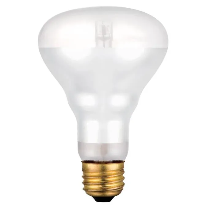 Westinghouse 3686100 55 Watt Eco-Halogen BR25 Reflector Flood - 3000 Kelvin - Warm White - 960 Lumens - E26-Medium Base - 120 Volt - Box